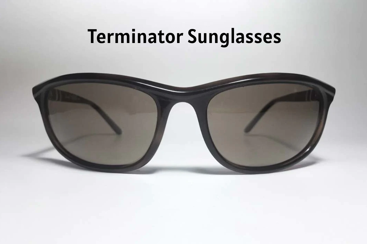 Terminator Sunglasses