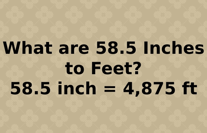 What are 58.5 Inches to Feet_