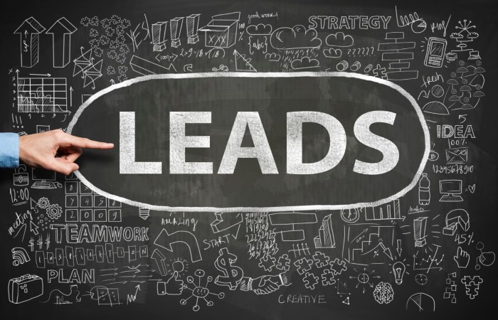 What is a Lead Marketing_